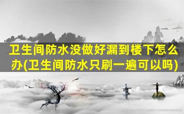 卫生间防水没做好漏到楼下怎么办(卫生间防水只刷一遍可以吗)
