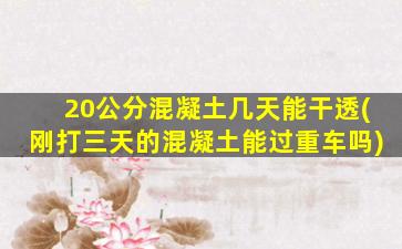 20公分混凝土几天能干透(刚打三天的混凝土能过重车吗)