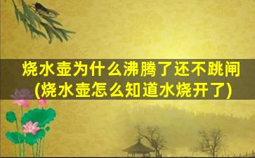 烧水壶为什么沸腾了还不跳闸(烧水壶怎么知道水烧开了)