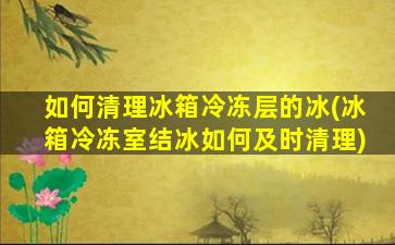 如何清理冰箱冷冻层的冰(冰箱冷冻室结冰如何及时清理)