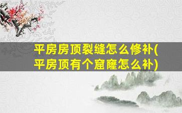 平房房顶裂缝怎么修补(平房顶有个窟窿怎么补)