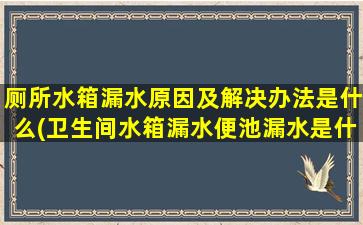 厕所水箱漏水原因及解决办法是什么(卫生间水箱漏水便池漏水是什么原因)