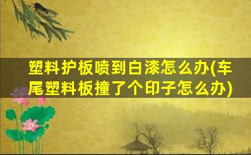 塑料护板喷到白漆怎么办(车尾塑料板撞了个印子怎么办)