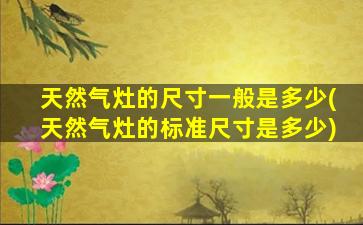 天然气灶的尺寸一般是多少(天然气灶的标准尺寸是多少)