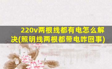 220v两根线都有电怎么解决(照明线两根都带电咋回事)