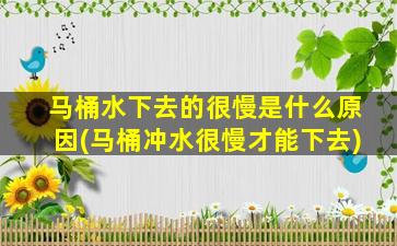 马桶水下去的很慢是什么原因(马桶冲水很慢才能下去)