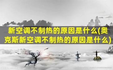 新空调不制热的原因是什么(奥克斯新空调不制热的原因是什么)