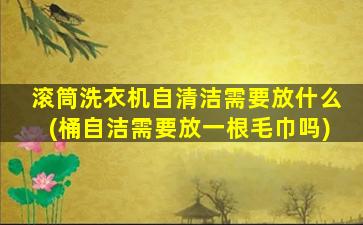 滚筒洗衣机自清洁需要放什么(桶自洁需要放一根毛巾吗)