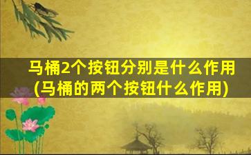 马桶2个按钮分别是什么作用(马桶的两个按钮什么作用)