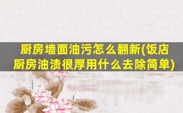 厨房墙面油污怎么翻新(饭店厨房油渍很厚用什么去除简单)