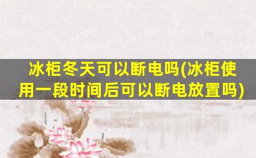 冰柜冬天可以断电吗(冰柜使用一段时间后可以断电放置吗)