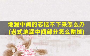 地漏中间的芯抠不下来怎么办(老式地漏中间部分怎么凿掉)