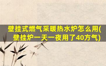 壁挂式燃气采暖热水炉怎么用(壁挂炉一天一夜用了40方气)