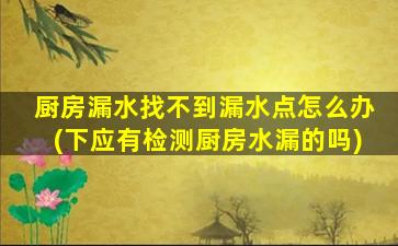 厨房漏水找不到漏水点怎么办(下应有检测厨房水漏的吗)