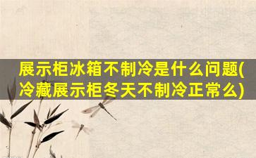 展示柜冰箱不制冷是什么问题(冷藏展示柜冬天不制冷正常么)
