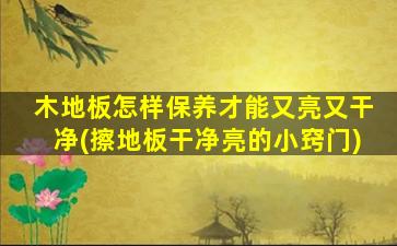 木地板怎样保养才能又亮又干净(擦地板干净亮的小窍门)