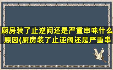 厨房装了止逆阀还是严重串味什么原因(厨房装了止逆阀还是严重串味)