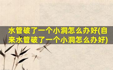 水管破了一个小洞怎么办好(自来水管破了一个小洞怎么办好)