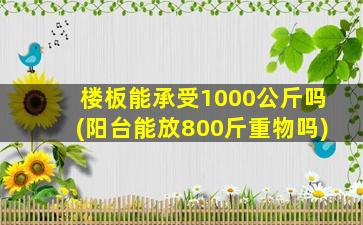 楼板能承受1000公斤吗(阳台能放800斤重物吗)