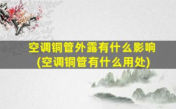 空调铜管外露有什么影响(空调铜管有什么用处)