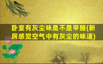 卧室有灰尘味是不是甲醛(新房感觉空气中有灰尘的味道)