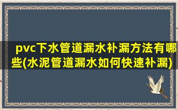pvc下水管道漏水补漏方法有哪些(水泥管道漏水如何快速补漏)