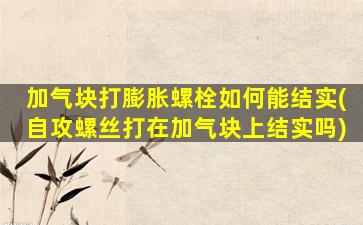 加气块打膨胀螺栓如何能结实(自攻螺丝打在加气块上结实吗)