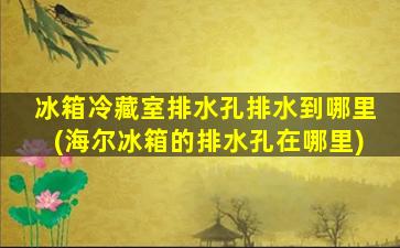 冰箱冷藏室排水孔排水到哪里(海尔冰箱的排水孔在哪里)