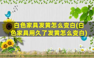 白色家具发黄怎么变白(白色家具用久了发黄怎么变白)