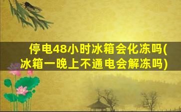 停电48小时冰箱会化冻吗(冰箱一晚上不通电会解冻吗)