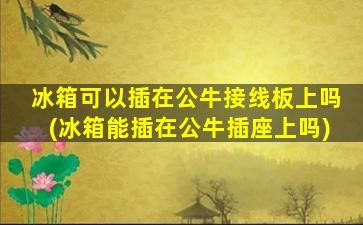 冰箱可以插在公牛接线板上吗(冰箱能插在公牛插座上吗)