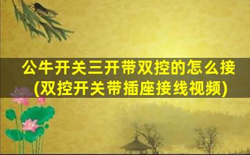 公牛开关三开带双控的怎么接(双控开关带插座接线视频)
