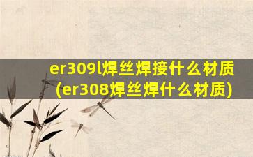 er309l焊丝焊接什么材质(er308焊丝焊什么材质)