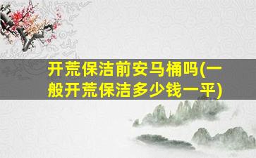 开荒保洁前安马桶吗(一般开荒保洁多少钱一平)