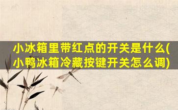 小冰箱里带红点的开关是什么(小鸭冰箱冷藏按键开关怎么调)
