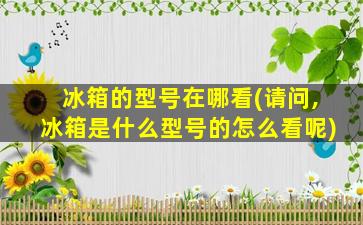 冰箱的型号在哪看(请问,冰箱是什么型号的怎么看呢)