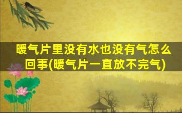 暖气片里没有水也没有气怎么回事(暖气片一直放不完气)