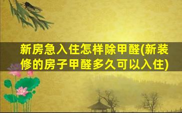 新房急入住怎样除甲醛(新装修的房子甲醛多久可以入住)