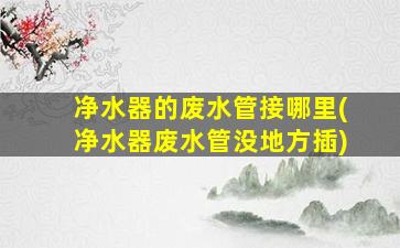 净水器的废水管接哪里(净水器废水管没地方插)