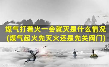 煤气打着火一会就灭是什么情况(煤气起火先灭火还是先关阀门)