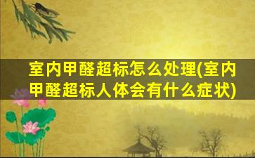 室内甲醛超标怎么处理(室内甲醛超标人体会有什么症状)
