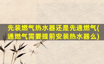 先装燃气热水器还是先通燃气(通燃气需要提前安装热水器么)