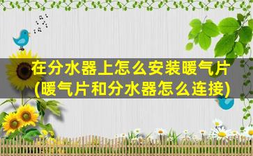 在分水器上怎么安装暖气片(暖气片和分水器怎么连接)