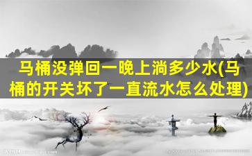 马桶没弹回一晚上淌多少水(马桶的开关坏了一直流水怎么处理)