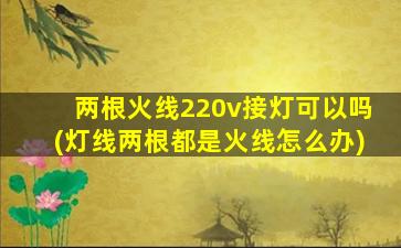 两根火线220v接灯可以吗(灯线两根都是火线怎么办)