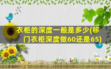 衣柜的深度一般是多少(移门衣柜深度做60还是65)