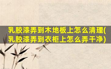 乳胶漆弄到木地板上怎么清理(乳胶漆弄到衣柜上怎么弄干净)