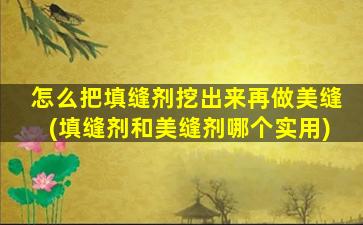 怎么把填缝剂挖出来再做美缝(填缝剂和美缝剂哪个实用)