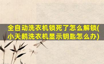 全自动洗衣机锁死了怎么解锁(小天鹅洗衣机显示钥匙怎么办)