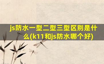 js防水一型二型三型区别是什么(k11和js防水哪个好)